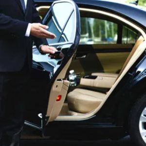 EXECUTIVE PROTECTION
