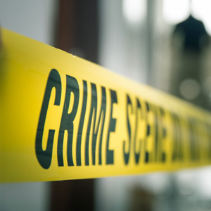 LAW ENFORCEMENT SUPPORT SERVICES